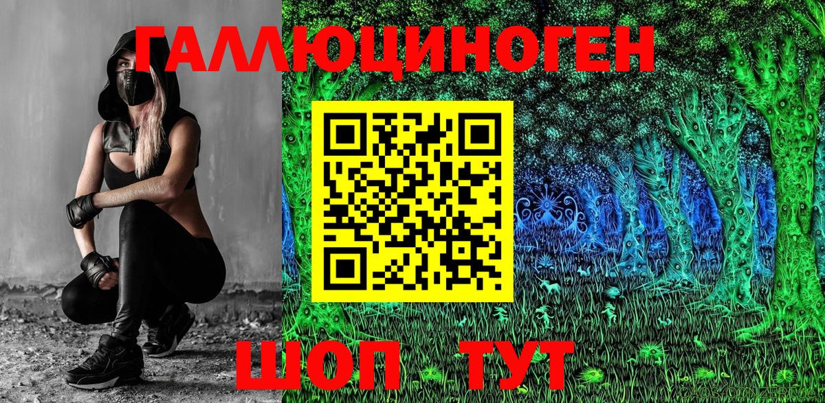 Волхов  Псилоцибиновые грибы ЛСД  Вход с VPN 