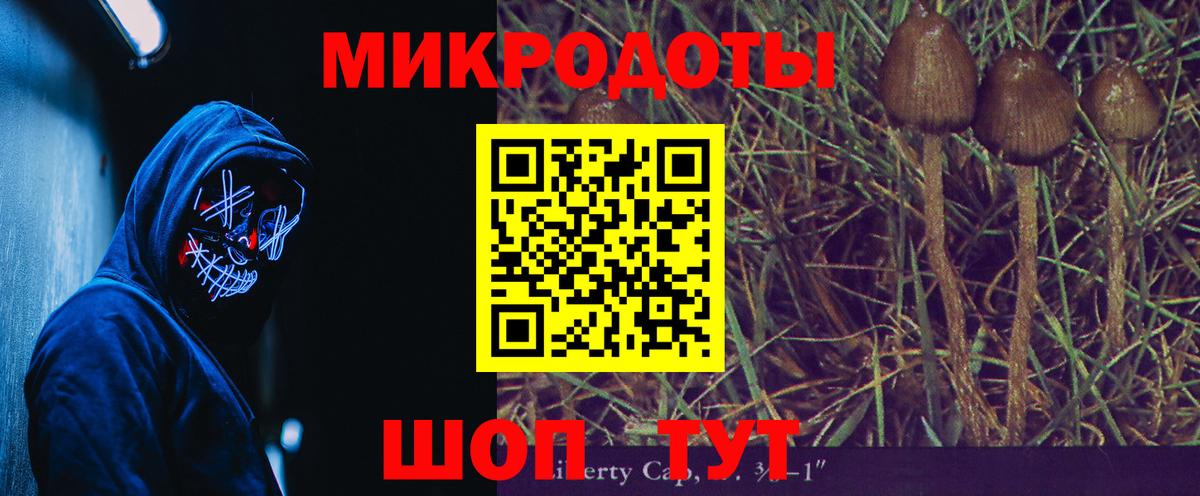 Псилоцибиновые грибы Psilocybe Волхов